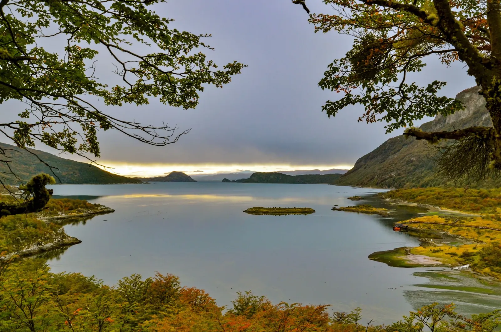 Tierra del Fuego National Park Tour with Lunch