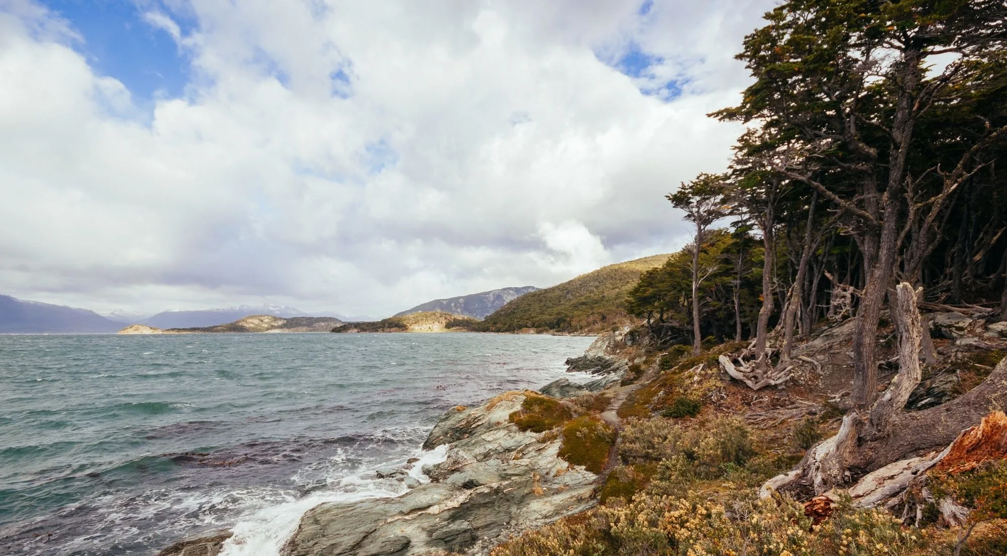 Rocky Beagle Channel shoreline with wind-bent trees on the right and waves breaking over the stones