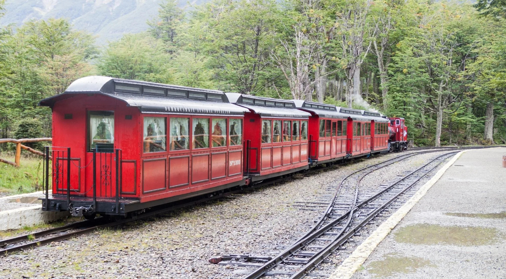 Red wooden carriages of the End of the World Train standing at a station platform beside beech forest