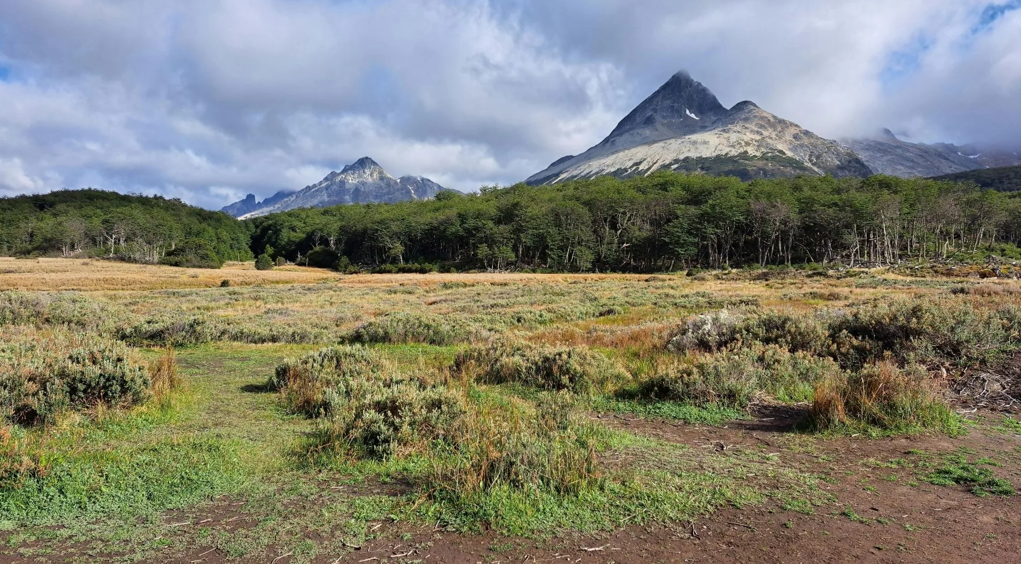 Open valley of grass and low shrubs below forested slopes and jagged peaks in Tierra del Fuego National Park