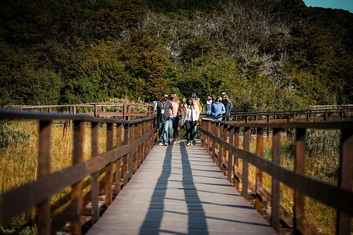 Half-Day Tierra del Fuego National Park — photo 1